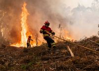 Καύσωνες και πυρκαγιές σαρώνουν την Ευρώπη Καύσωνες και πυρκαγιές σαρώνουν την Ευρώπη