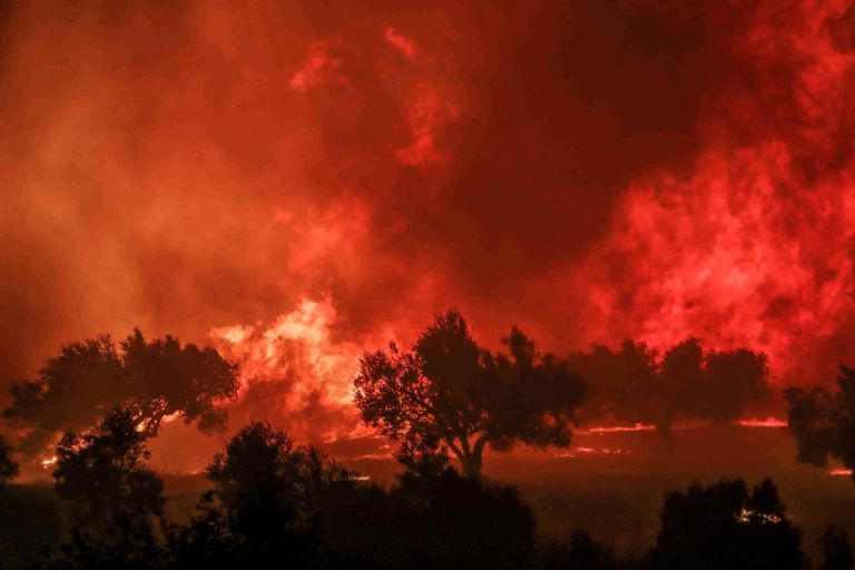 Πορτογαλία: Ανακοινώθηκε ο πρώτος νεκρός από τις πυρκαγιές