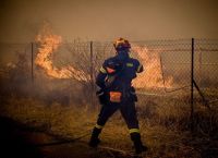 Πυροσβεστική: Στις 11 και 12/6 σημειώθηκαν 152 ενάρξεις πυρκαγιών Πυροσβεστική: Στις 11 και 12/6 σημειώθηκαν 152 ενάρξεις πυρκαγιών