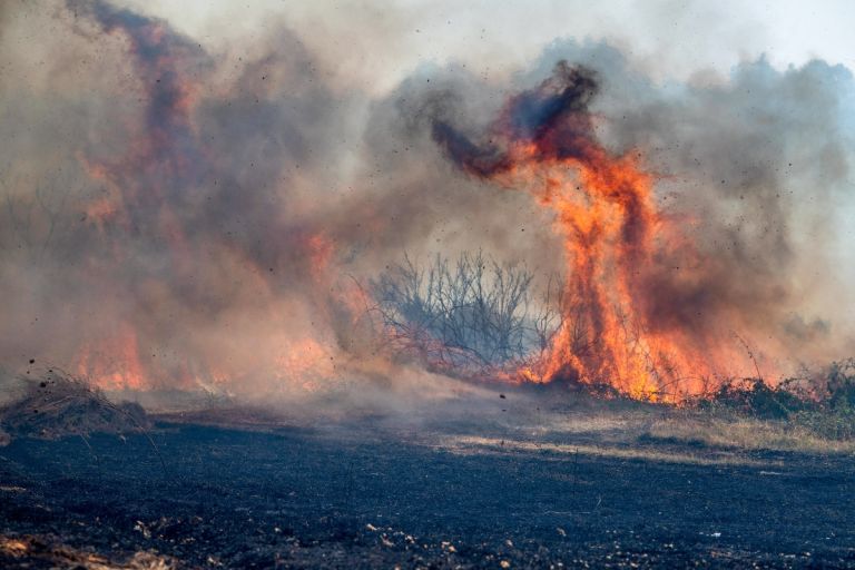 Φλέγεται η Ισπανία: Εκκενώσεις ξενοδοχείων και κατασκηνώσεων