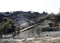 Αν. Αττική: 40.000 στρέμματα στάχτη – Καταγγελίες για εμπρησμό Αν. Αττική: 40.000 στρέμματα στάχτη – Καταγγελίες για εμπρησμό