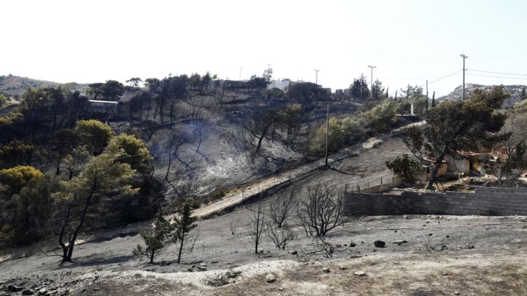 Αν. Αττική: 40.000 στρέμματα στάχτη – Καταγγελίες για εμπρησμό