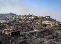 WWF: Ηδη πάνω από τον μέσο όρο 20ετίας οι καμένες εκτάσεις το πρώτο 15ημερο του Αυγούστου WWF: Ηδη πάνω από τον μέσο όρο 20ετίας οι καμένες εκτάσεις το πρώτο 15ημερο του Αυγούστου