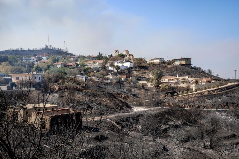 WWF: Ηδη πάνω από τον μέσο όρο 20ετίας οι καμένες εκτάσεις το πρώτο 15ημερο του Αυγούστου