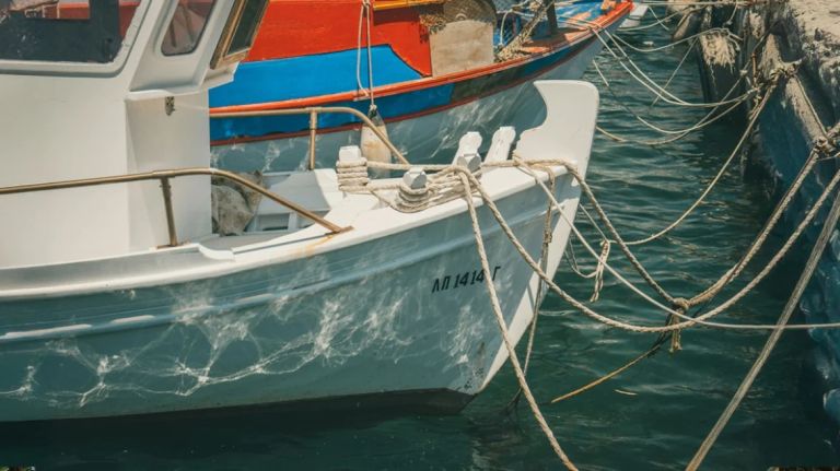 Οι ψαράδες της Αμοργού δείχνουν τον δρόμο: Το σχέδιο που μπορεί να σώσει τη Μεσόγειο από την υπεραλίευση