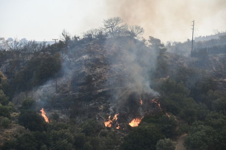 Καταστροφικές πυρκαγιές: Σχεδόν 100.000 στρέμματα έχουν γίνει στάχτη – Δείτε αναλυτικούς χάρτες