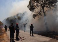 Ομολόγησε 19χρονος για εμπρησμό στα Συχαινά – Τρεις συλλήψεις και μία προσαγωγή για τις φωτιές στην Αχαΐα Ομολόγησε 19χρονος για εμπρησμό στα Συχαινά – Τρεις συλλήψεις και μία προσαγωγή για τις φωτιές στην Αχαΐα