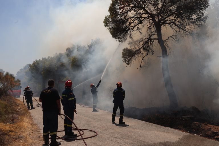 Ομολόγησε 19χρονος για εμπρησμό στα Συχαινά – Τρεις συλλήψεις και μία προσαγωγή για τις φωτιές στην Αχαΐα