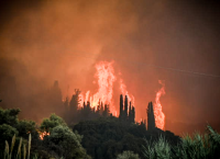 Φωτιές: Πύρινος όλεθρος στην Κάτω Αχαΐα, εφιαλτικό σκηνικό σε Χίο, Ζάκυνθο και Πρέβεζα Φωτιές: Πύρινος όλεθρος στην Κάτω Αχαΐα, εφιαλτικό σκηνικό σε Χίο, Ζάκυνθο και Πρέβεζα
