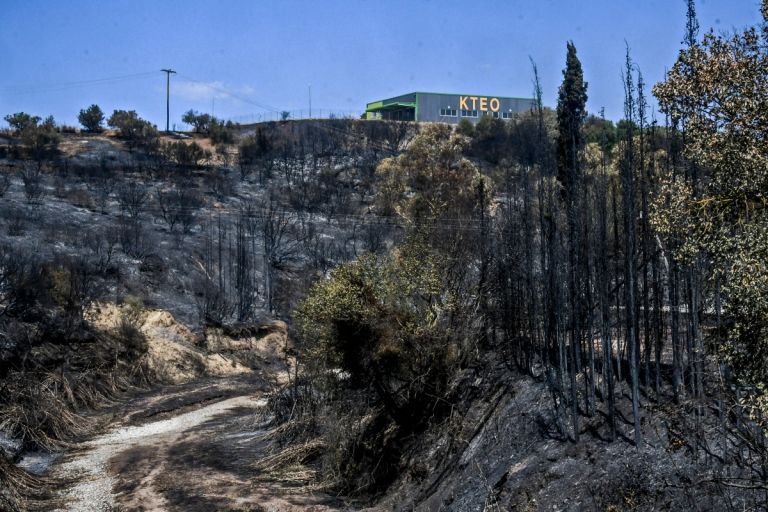 Πάτρα: Σπαρακτικές εικόνες από drone μετά τον καταστροφικό πύρινο εφιάλτη [vid,pics]