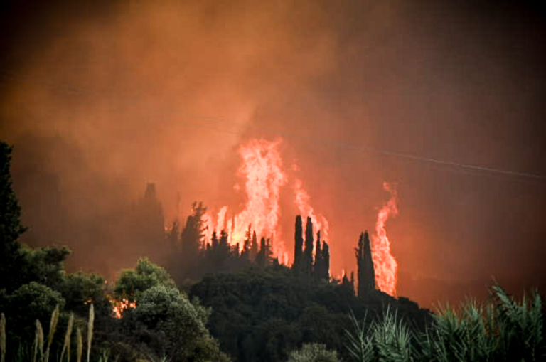 Φωτιές: Πύρινος όλεθρος στην Κάτω Αχαΐα, εφιαλτικό σκηνικό σε Χίο, Ζάκυνθο και Πρέβεζα