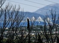 Αχαΐα: Σύλληψη 25χρονου για εμπρησμό – Εντοπίστηκε την ώρα που άναβε φωτιά και επιχείρησε να διαφύγει Αχαΐα: Σύλληψη 25χρονου για εμπρησμό – Εντοπίστηκε την ώρα που άναβε φωτιά και επιχείρησε να διαφύγει