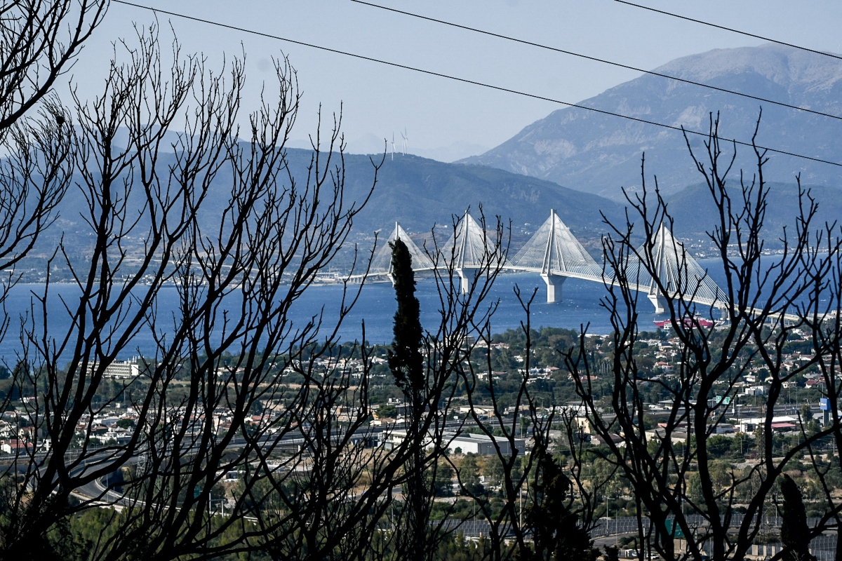 Αχαΐα: Σύλληψη 25χρονου για εμπρησμό – Εντοπίστηκε την ώρα που άναβε φωτιά και επιχείρησε να διαφύγει