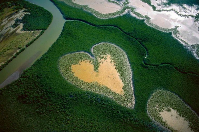 «The Heart of Voh»: Η καρδιά της φύσης που “λυγίζει” από την κλιματική αλλαγή