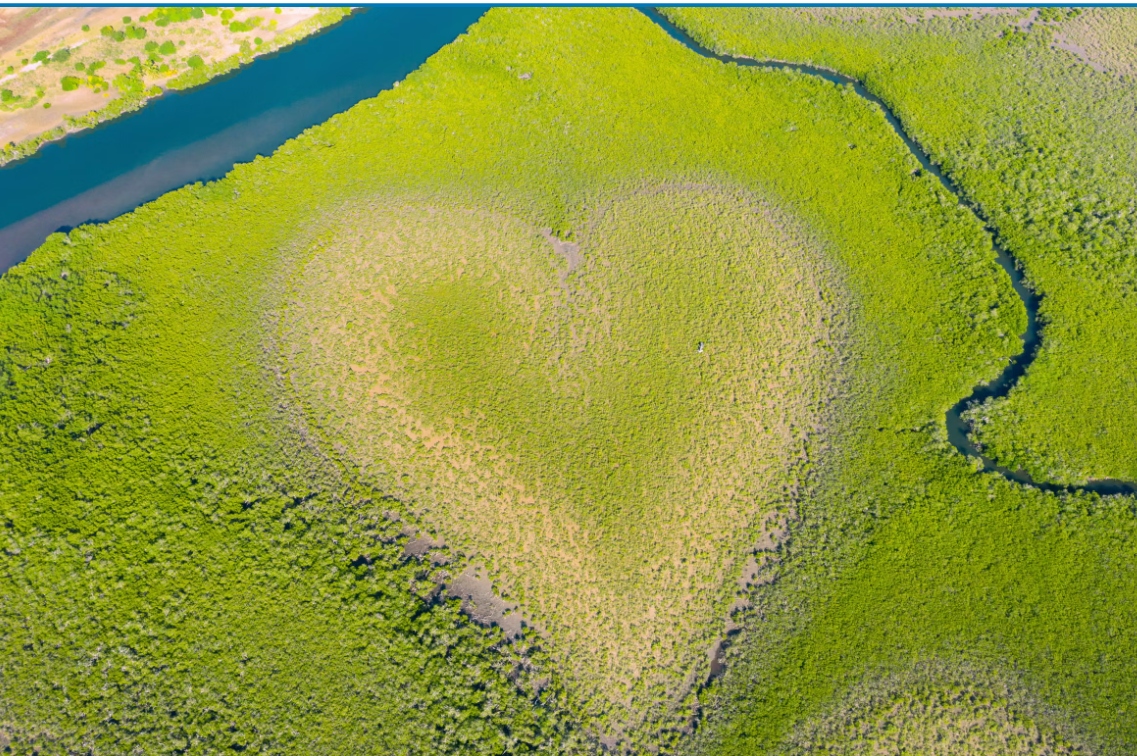 heart1