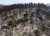 SOS από τον Λαγουβάρδο: 9 εκατ. στρέμματα καμένα στην Ευρώπη – 454.000 στην Ελλάδα μέχρι τα μέσα Αυγούστου SOS από τον Λαγουβάρδο: 9 εκατ. στρέμματα καμένα στην Ευρώπη – 454.000 στην Ελλάδα μέχρι τα μέσα Αυγούστου