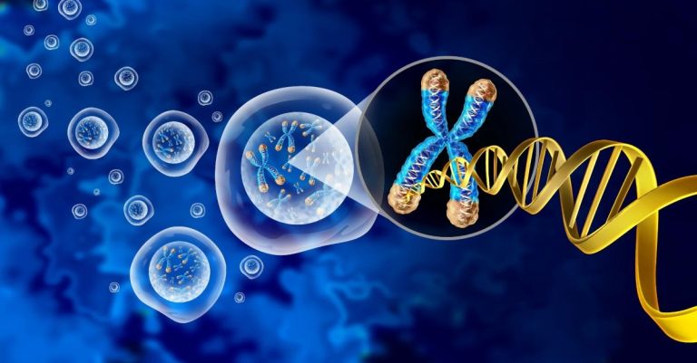 Τελομερή: Τι είναι γνωστό για τις δομές από DNA που αυξάνουν την αντιγήρανση