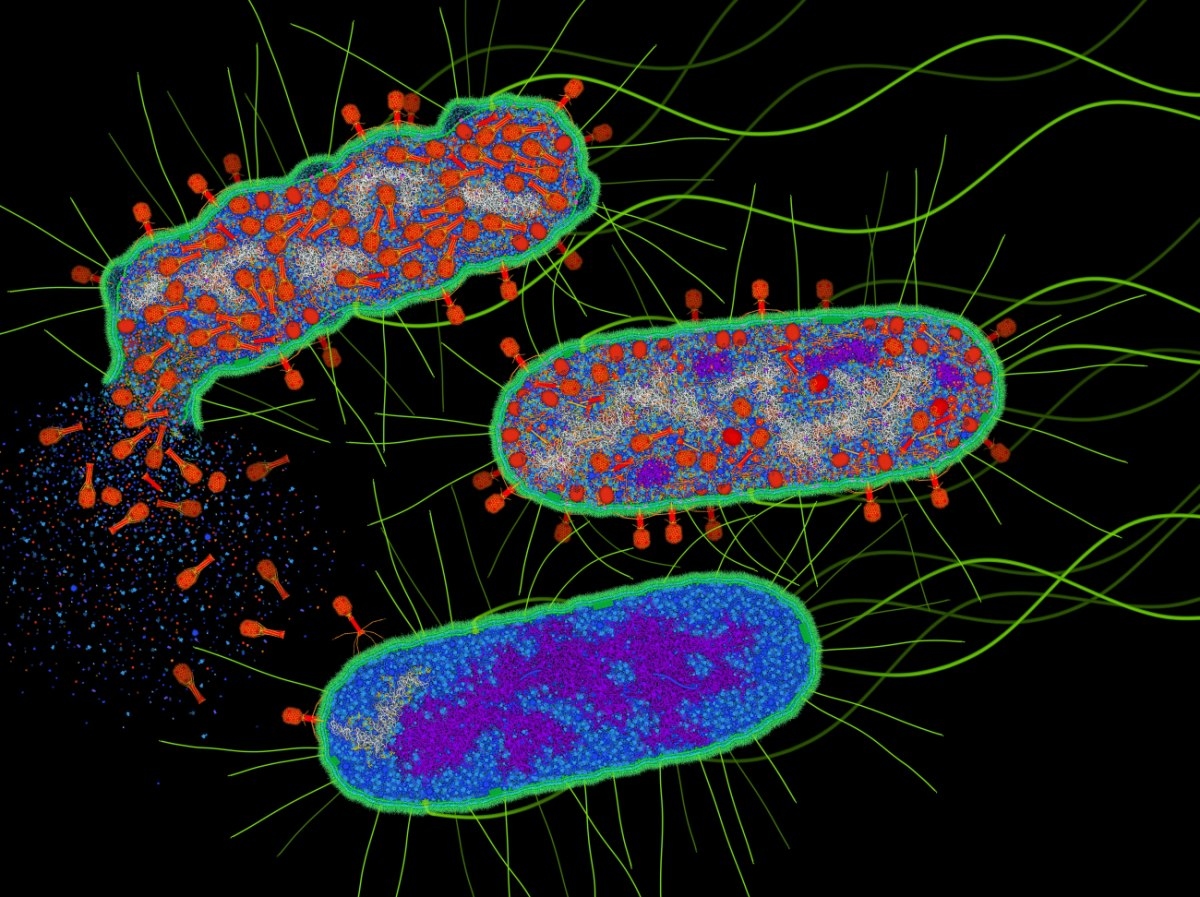 Μοντέλο τεχνητής νοημοσύνης επινόησε χιλιάδες νέους ιούς
