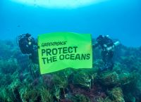 Greenpeace: Επικυρώθηκε η Παγκόσμια Συνθήκη για τους Ωκεανούς Greenpeace: Επικυρώθηκε η Παγκόσμια Συνθήκη για τους Ωκεανούς
