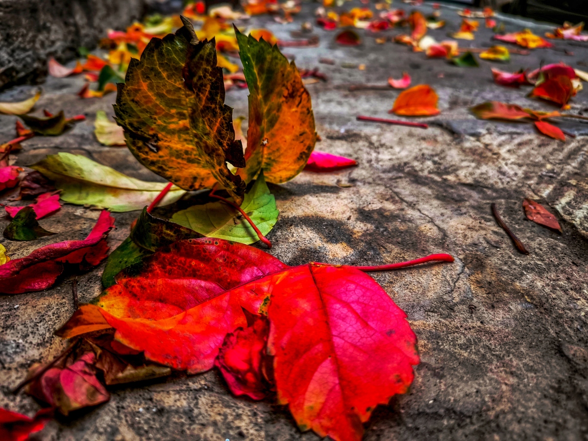«Φθινοπωρινός» καιρός με βροχές και πτώση θερμοκρασίας
