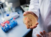 Μύκητας Candidozyma auris: Υπάρχει έξαρση με αύξηση σε Ευρώπη και Ελλάδα – Τι πρέπει να κάνουμε Μύκητας Candidozyma auris: Υπάρχει έξαρση με αύξηση σε Ευρώπη και Ελλάδα – Τι πρέπει να κάνουμε