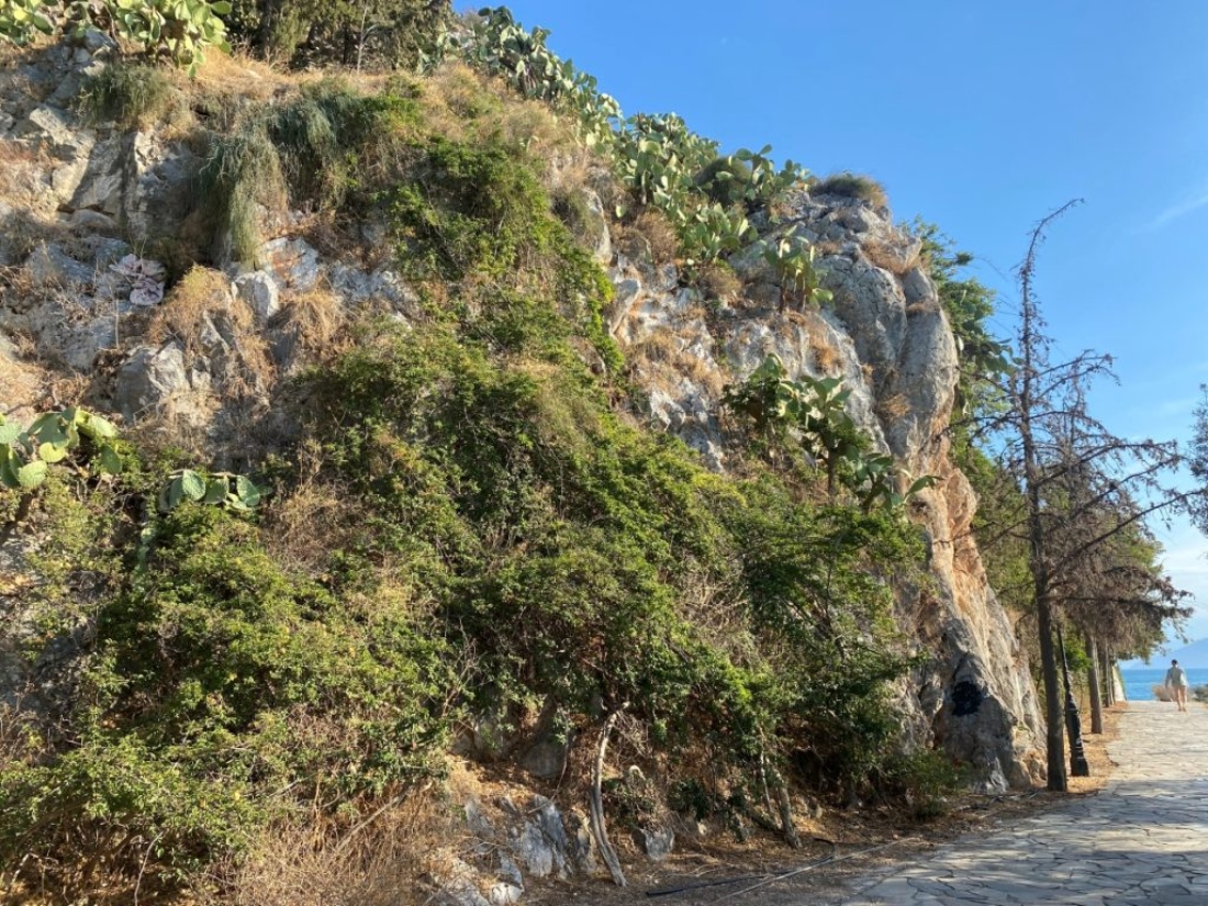 Προγραμματική σύμβαση για το μονοπάτι της Αρβανιτιάς