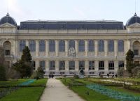 Παρίσι: Χρυσός 600.000 ευρώ «έκανε φτερά» από το Μουσείο Φυσικής Ιστορίας Παρίσι: Χρυσός 600.000 ευρώ «έκανε φτερά» από το Μουσείο Φυσικής Ιστορίας