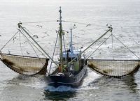 Παγκόσμιος Οργανισμός Εμπορίου: Συμφωνία για τον περιορισμό της υπεραλίευσης Παγκόσμιος Οργανισμός Εμπορίου: Συμφωνία για τον περιορισμό της υπεραλίευσης