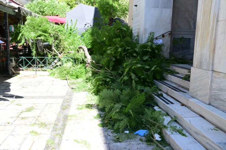 Έπεσε δέντρο στην πλατεία Αγίας Ειρήνης, στο κέντρο της Αθήνας – Δύο τραυματίες