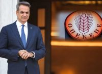 Η Σιωπηλή Βόμβα του ΟΠΕΚΕΠΕ: Από το Σκάνδαλο στη Στάση Πληρωμών Η Σιωπηλή Βόμβα του ΟΠΕΚΕΠΕ: Από το Σκάνδαλο στη Στάση Πληρωμών