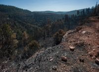 ΣΚΑΝΔΑΛΟ ΕΛΕΓΚΤΙΚΟΥ: «Οι αναδασώσεις είναι ΦΙΑΣΚΟ – Χρήματα στον αέρα, δάση… αγνοούμενα!»