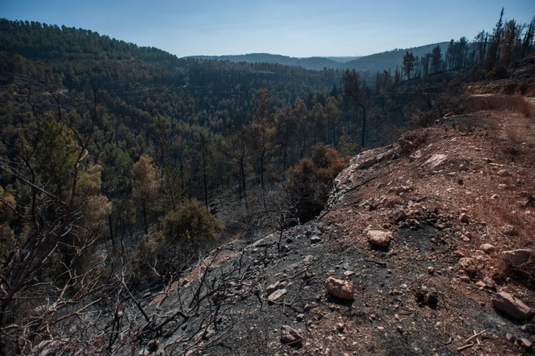 ΣΚΑΝΔΑΛΟ ΕΛΕΓΚΤΙΚΟΥ: «Οι αναδασώσεις είναι ΦΙΑΣΚΟ – Χρήματα στον αέρα, δάση… αγνοούμενα!»