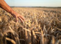 Το Κρίσιμο Στοιχείο της ΕΕ για Νέους Αγρότες: Στρατηγική Ανανέωσης Γενεών