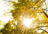 Ανοιξιάτικο Σαββατοκύριακο – Εισβολή αφρικανικής σκόνης από Δευτέρα