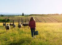 Ευρωπαϊκή γεωργία: Οι φυσικές καταστροφές εξανέμισαν $353 δισ. μέσα σε τρεις δεκαετίες