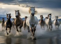 Βασιλικοί εκπαιδευτές σε πόλεμο με το υπουργείο Οικονομικών: «Μην καταστρέψετε τις ιπποδρομίες»