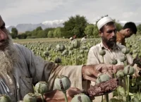 Η CIA «έσπειρε» 9 δισ. δολάρια στο Αφγανιστάν: Απόρρητο πρόγραμμα με τροποποιημένους σπόρους παπαρούνας