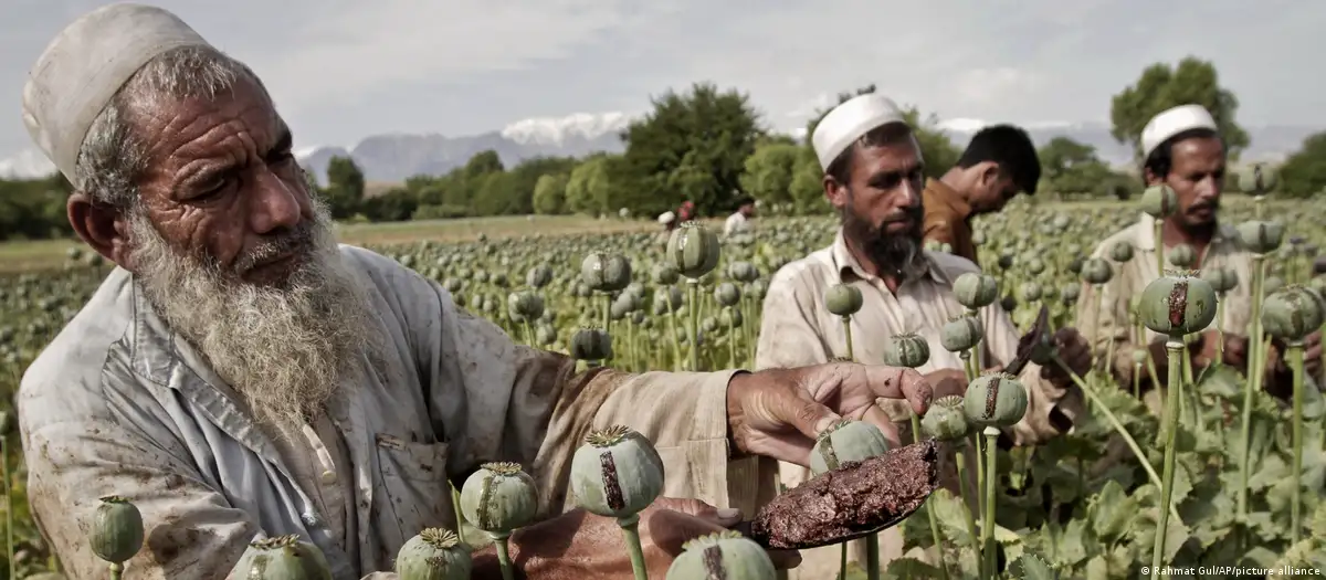 Η CIA «έσπειρε» 9 δισ. δολάρια στο Αφγανιστάν: Απόρρητο πρόγραμμα με τροποποιημένους σπόρους παπαρούνας