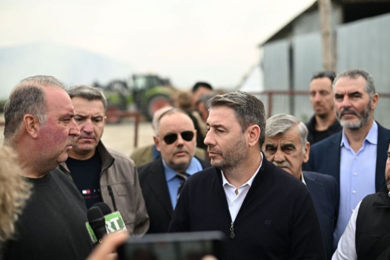 Ανδρουλάκης:«Με ευθύνη Μητσοτάκη καταστράφηκε ο πρωτογενής τομέας–Η “γαλάζια” συμμορία κατάκλεψε τον ΟΠΕΚΕΠΕ»