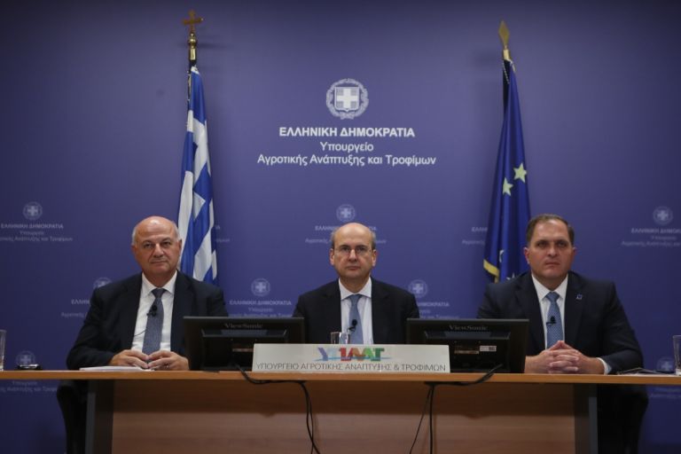 Greek Farmers to Receive €3.7 Billion in 2025 Subsidies Amid Hybrid Reform System