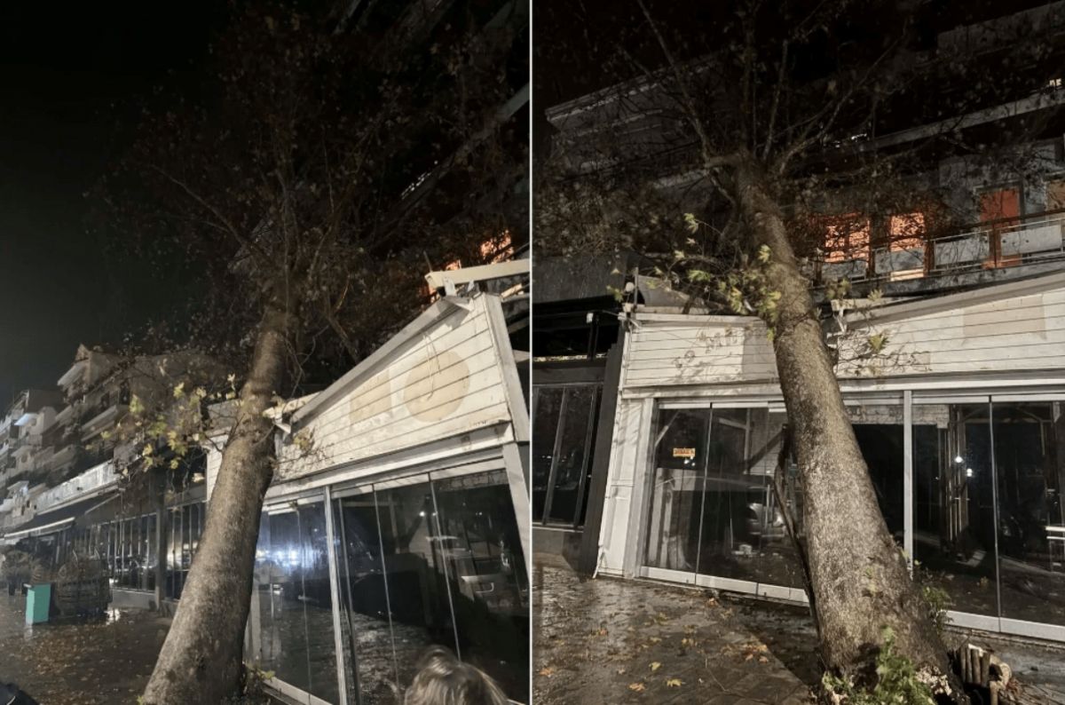 Ισχυρές Βροχές σε Ιωάννινα και Θεσπρωτία: Ζημιές από Κεραυνούς και Πτώσεις Δέντρων