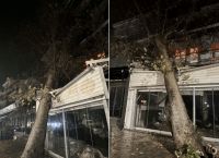 Ισχυρές Βροχές σε Ιωάννινα και Θεσπρωτία: Ζημιές από Κεραυνούς και Πτώσεις Δέντρων