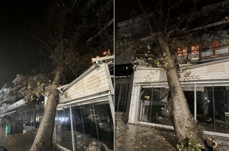 Ισχυρές Βροχές σε Ιωάννινα και Θεσπρωτία: Ζημιές από Κεραυνούς και Πτώσεις Δέντρων