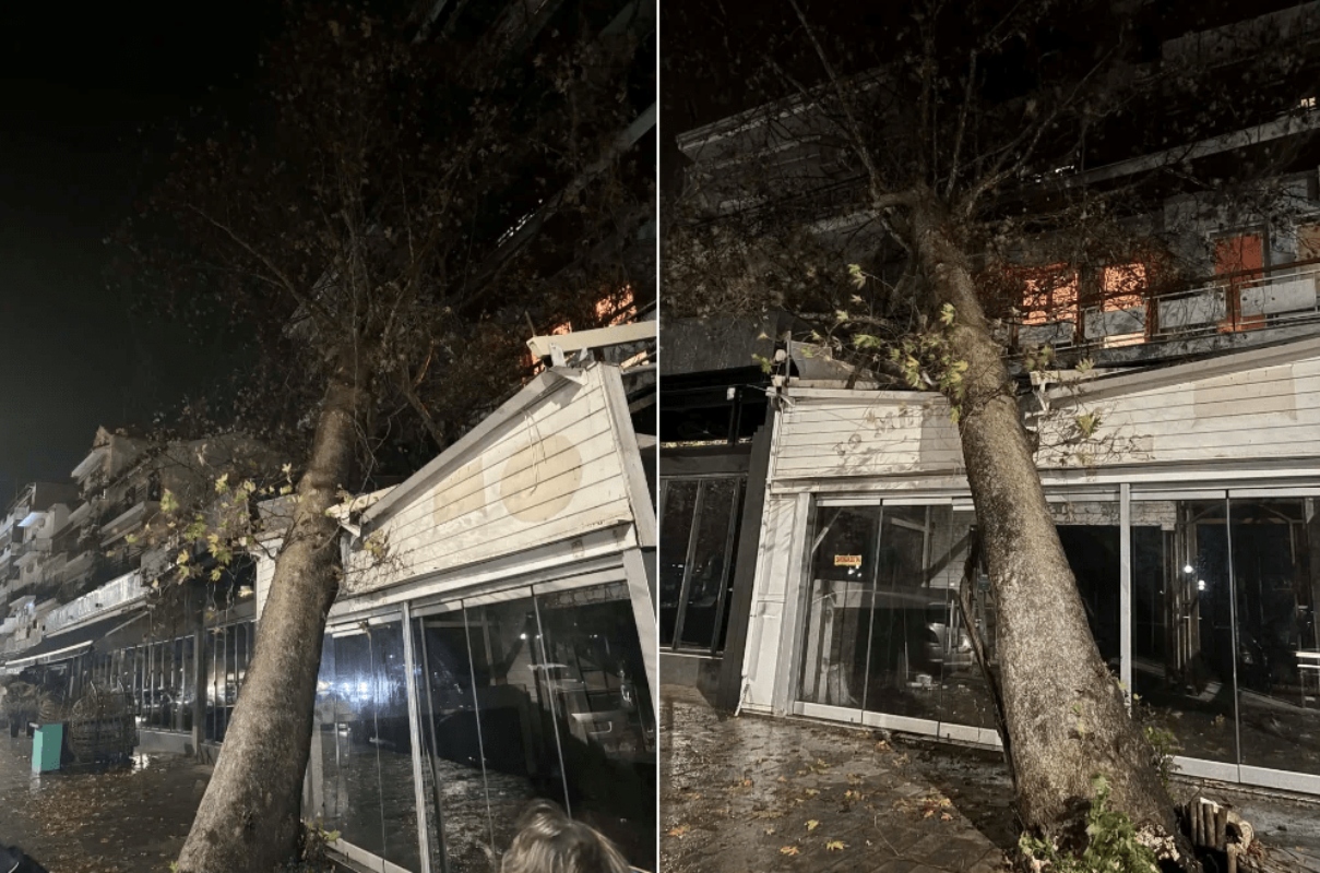 Ισχυρές Βροχές σε Ιωάννινα και Θεσπρωτία: Ζημιές από Κεραυνούς και Πτώσεις Δέντρων