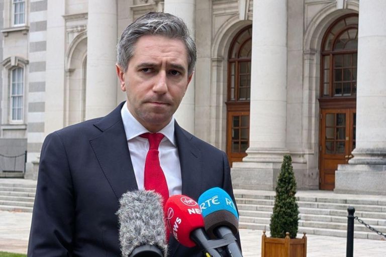 Ιρλανδία: Αιτούντες άσυλο με δουλειά θα πληρώνουν έως €238 την εβδομάδα – Ποινές για απλήρωτους