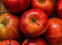 «Ψηφιακό διαβατήριο» για ένα μήλο: Πώς ένα QR θα αποκαλύπτει όλη τη ζωή ενός προϊόντος