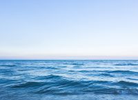 Ανησυχία Επιστημόνων: Ο Ωκεανός γύρω από την Ιαπωνία «αλλάζει» με τρομακτική ταχύτητα