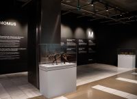 Άνοιξε το MOMUS Air στο Αεροδρόμιο «Μακεδονία» – Μουσείο Σύγχρονης Τέχνης στις Αναχωρήσεις με Ελεύθερη Είσοδο