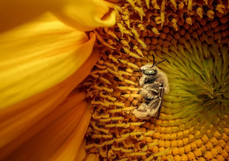 Οι καλύτερες φωτογραφίες του «National Geographic» για το 2025