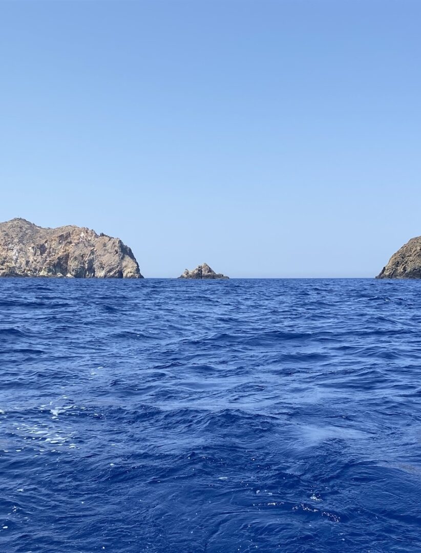 Marine Parks Planned in Ionian and Southern Aegean: A Major Step for Ocean Conservation